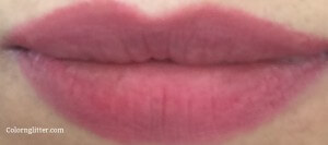 L’Oreal Paris Contour Parfait Lip Pencil #634 Plum On The Lips